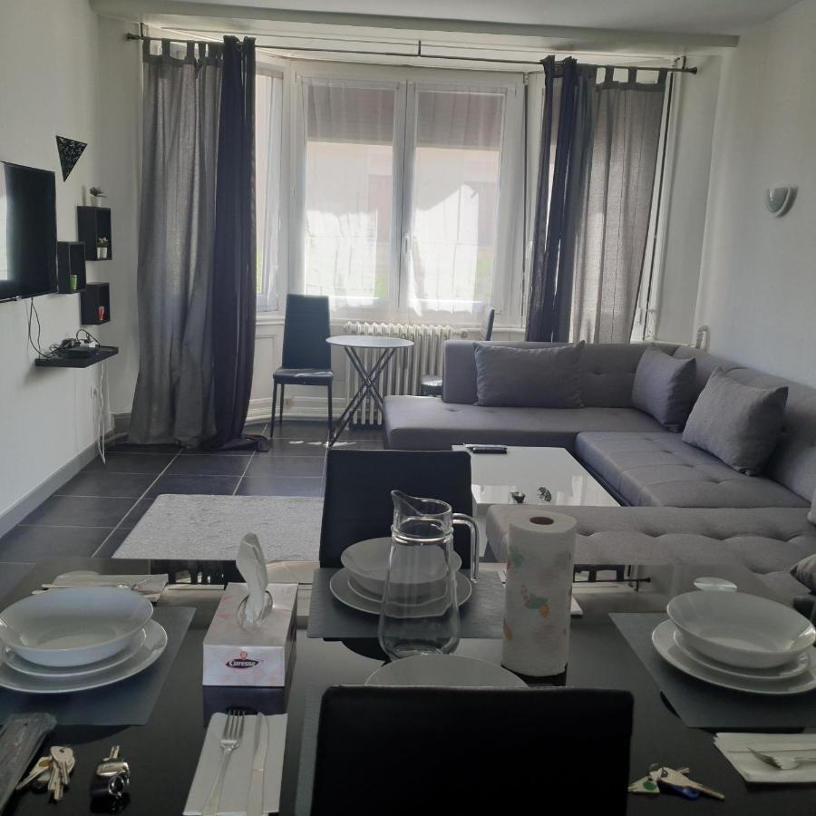 Appartement T2 Courte Duree Coup De Coeur Toute A 5 Minutes Saint-Etienne  Bagian luar foto